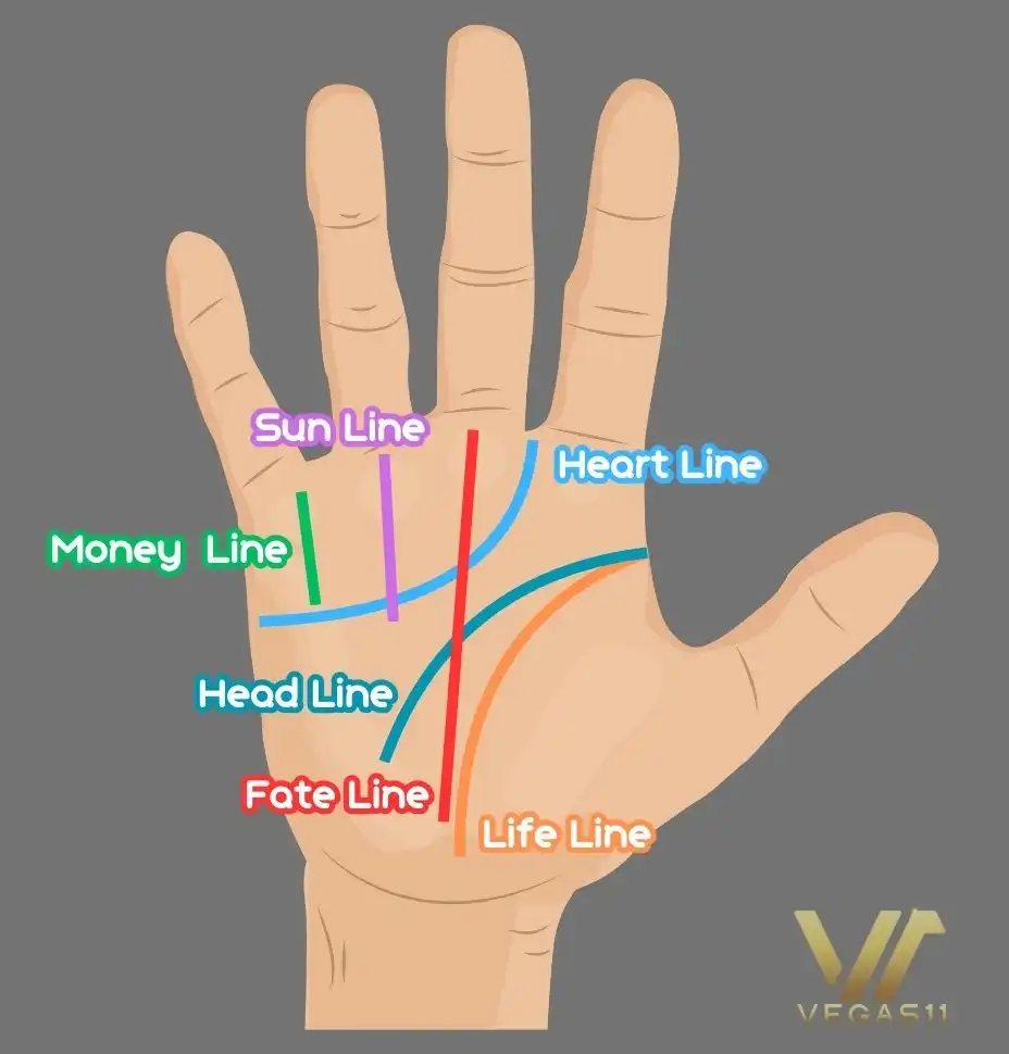 Palm Reading Lines
