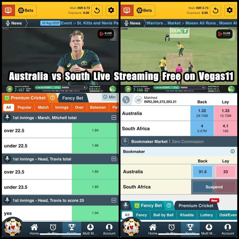 Indian online casinos offer free cricket live streaming.