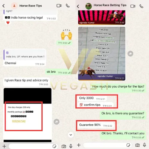 Horse Race Tips WhatsApp Groups