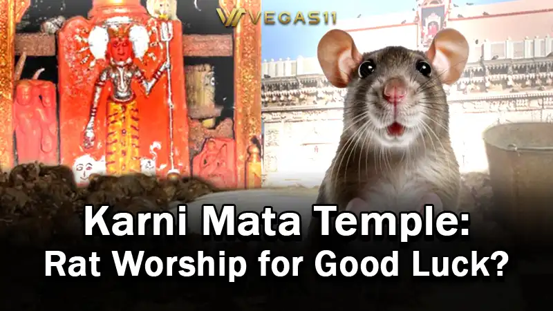 Karni Mata Temple: Rat Worship for Good Luck?