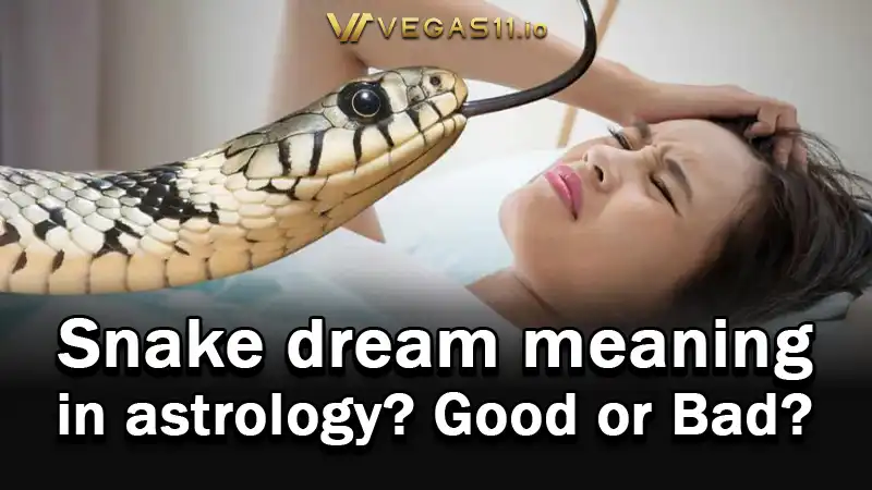 Snake dream meaning in astrology? good luck or bad omen?