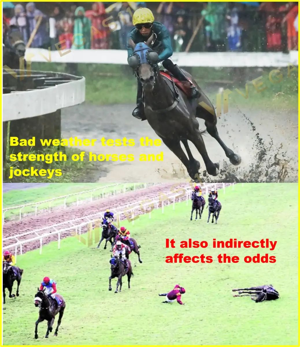 Climatic factors for horse racing