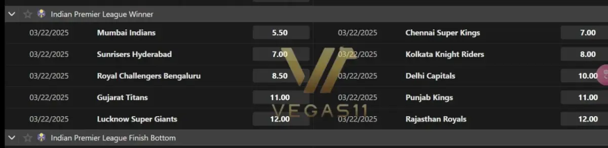 IPL 2025 Winner ODDS