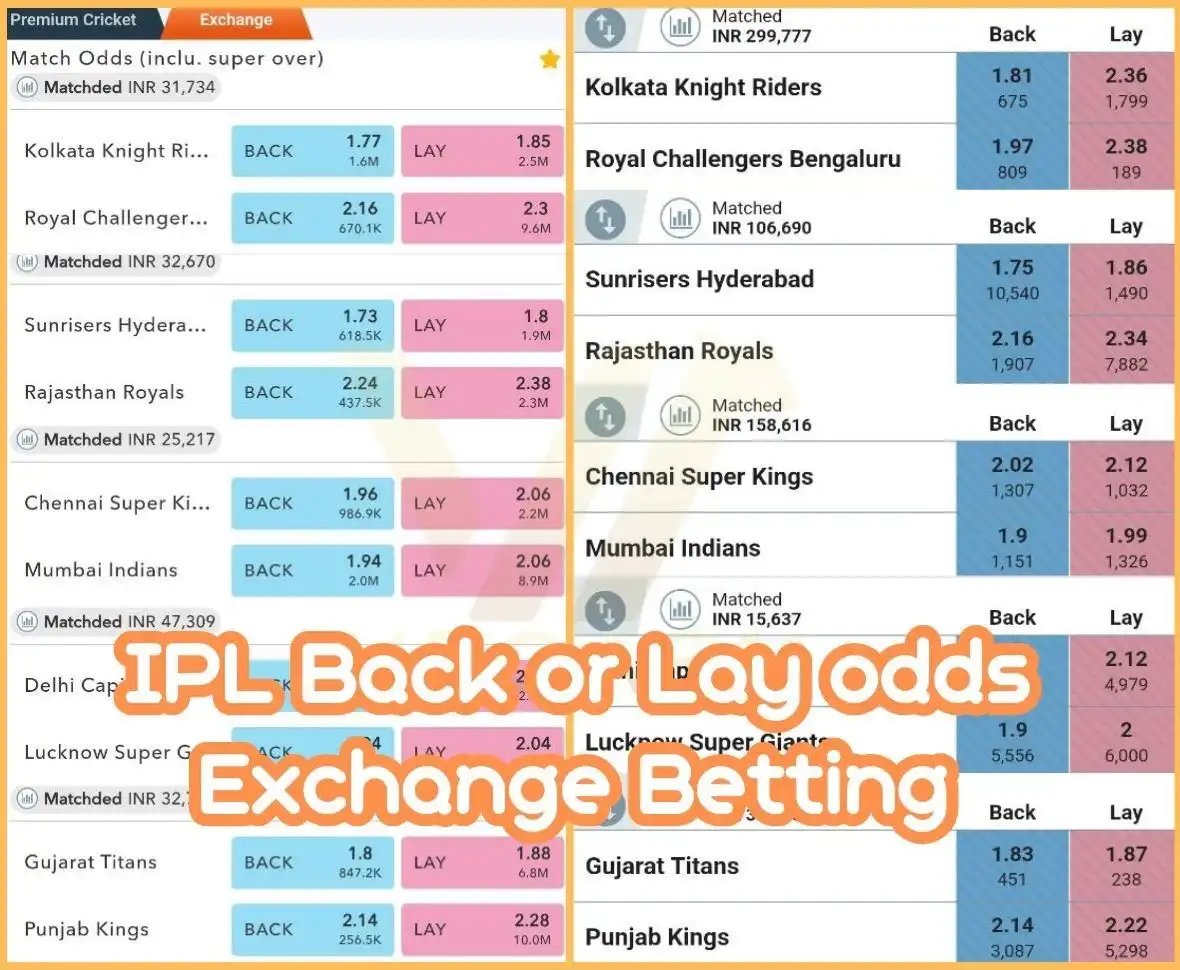 IPL Betting Odds for Match Wineer