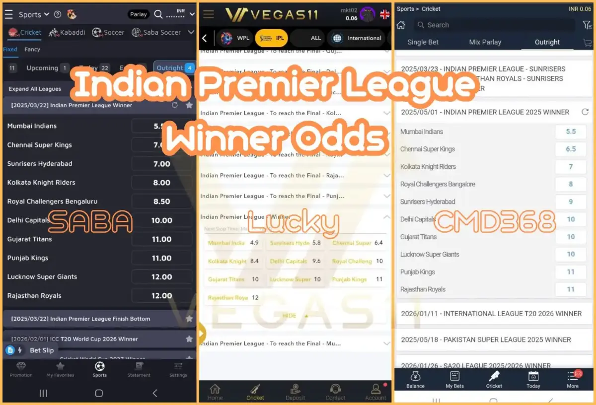 Indian Premier League Winner Odds