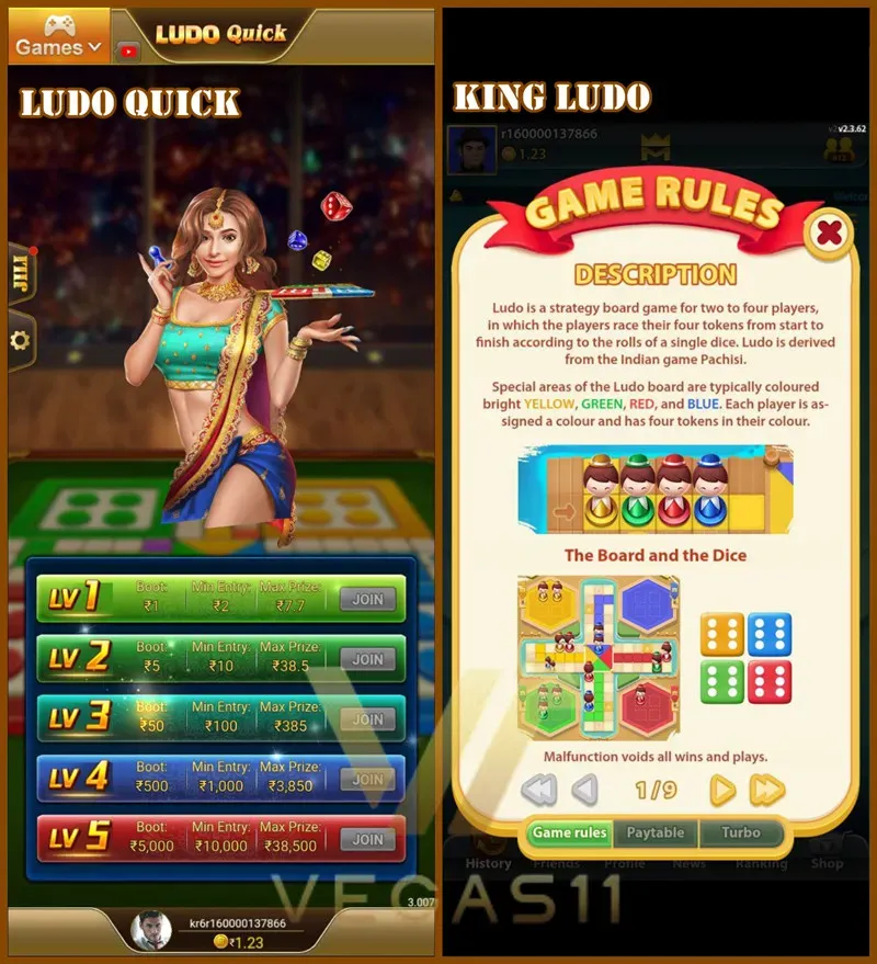 Play Online Ludo