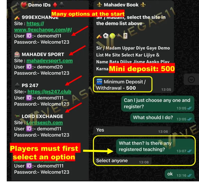 Players must first select an option