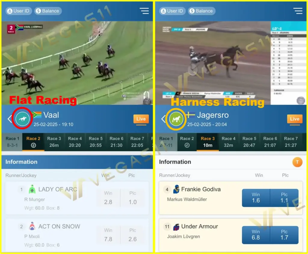 Vegas11 RCB Horse Racing Style