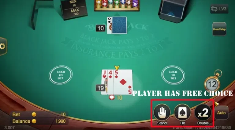 Blackjack Hit Rules