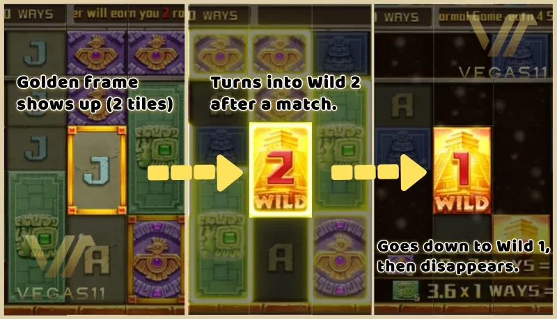 Golden Frames & Wild