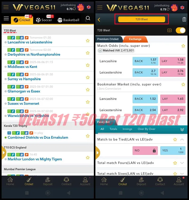 T20 Blast Cricket Betting