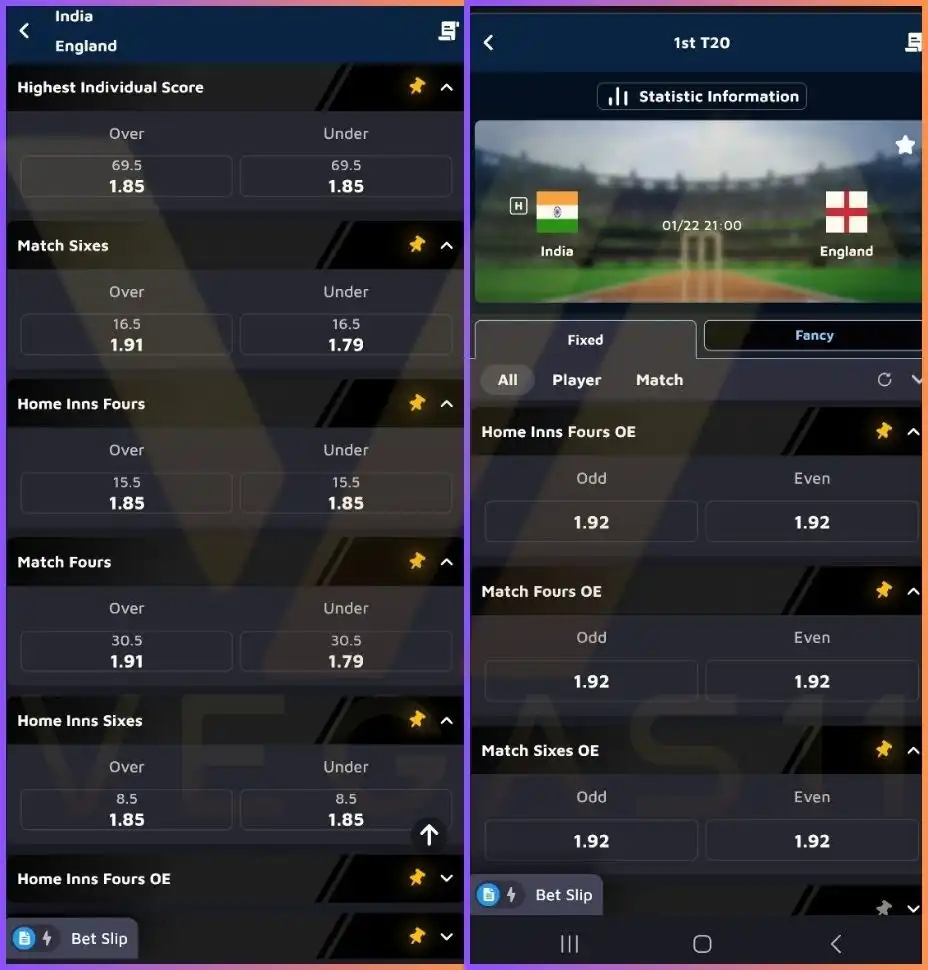 Cricket Betting Types - Predict OU and OE for Highest Individual Score, Sixes/Fours