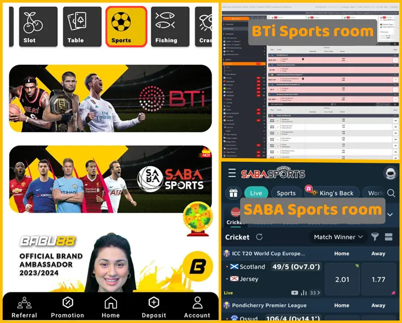 Sportsbook​ options on Babu88