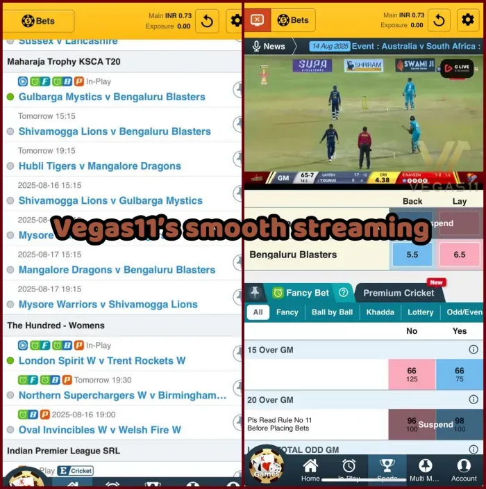 Experience all matches live with Vegas11’s smooth streaming & in-game stats.