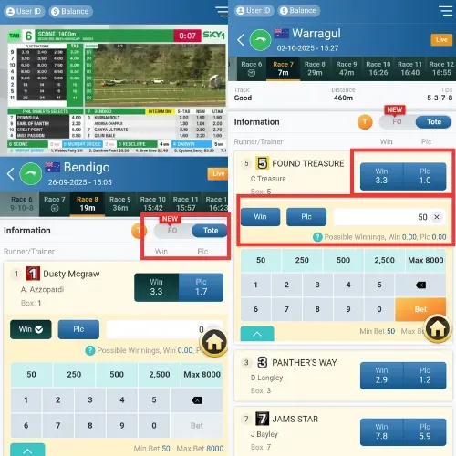 Horse Race Betting Types on Vegas11 